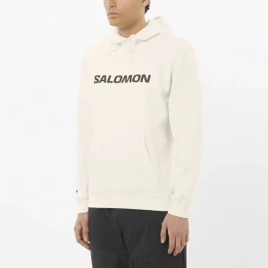SALOMON BIG LOGO HOODIE